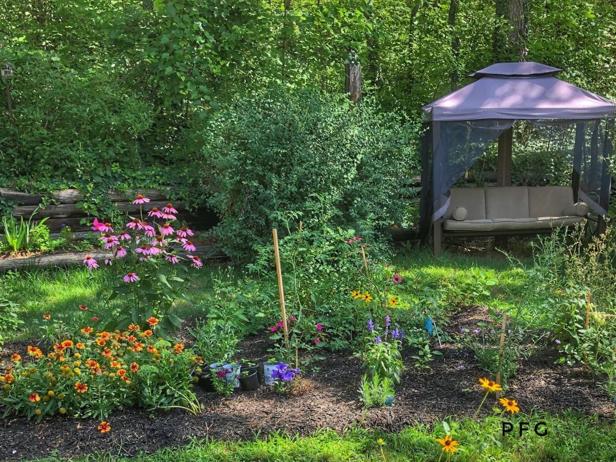 Cozy Cottage Retreat Lambton Shores Extérieur photo